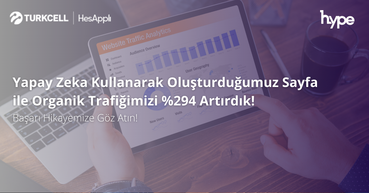 Hesapplı SEO Case
